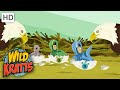 WILD KRATTS Eagle Creature Suits Cute NATURE