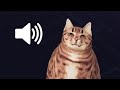 This CAT in DEMONOLOGIST is listening to my microphone