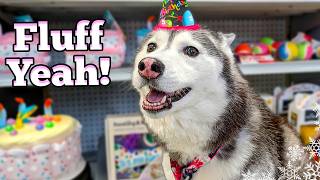 Surprising My Dog For Her Birthday!