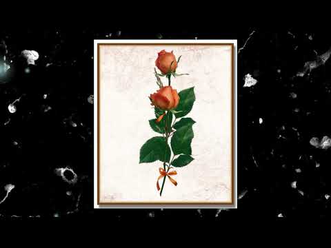 [2020] DRAKE x SHINDY Type Beat | "FEELINGS"