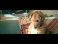 Absolutely Anything 2015 Me Titra Shqip
