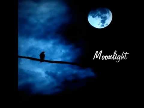 Susan Enan - Moonlight [lyrics]