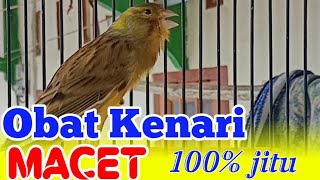 Download lagu OBAT KENARI STRESS MACET BUNYI 100% JITU DENGAR INI | CUITAN PERANGSANG BUNYI KENARI mp3