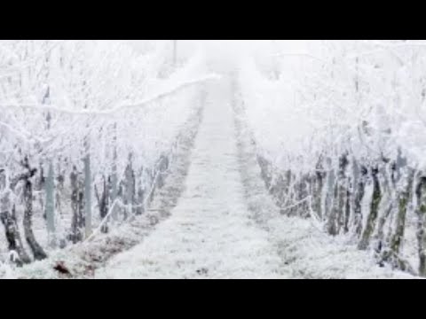 The Mysterious Deadly Frost Of 1709 That Killed Thousands