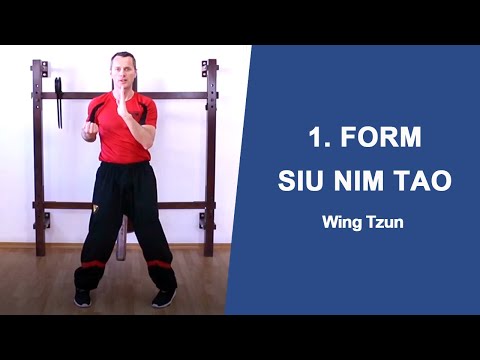 Wing- Tsun Form lernen in 20 min/Siu Nim Tao Form schnell und richtig lernen