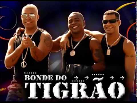 Bonde do tigrão ''Só as cachorras``