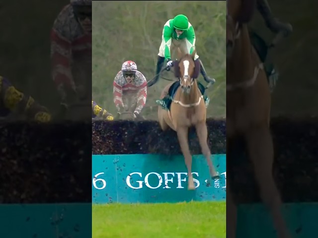 Thumbnail for Post ID: cXdmVJ77J9M