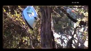 During the Silent Times