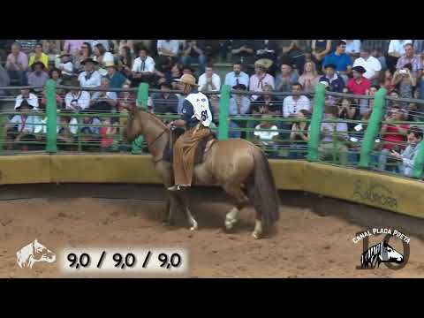 Harmonia temprano no freio de Ouro 2016 - Mangueira (Aparte)