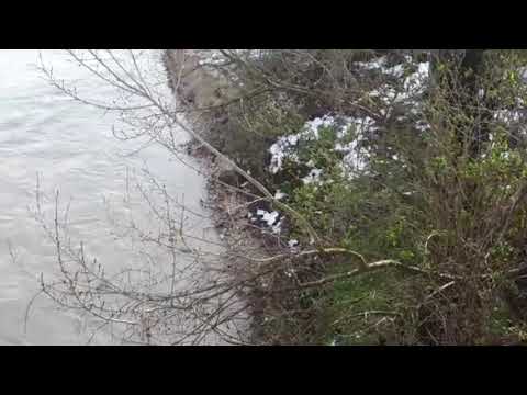 download lagu mp3 mp4 Il Fiume Di Jesi, download lagu Il Fiume Di Jesi gratis, unduh video klip Il Fiume Di Jesi