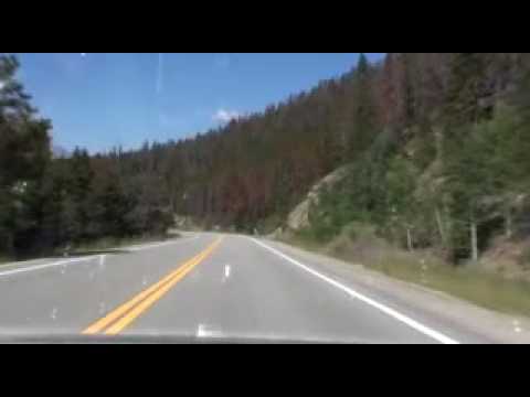 Florida Wild Hogs Adventures P VIII v4