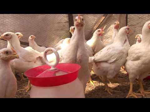 Film de prezentare-com Urechesti,jud Bacau