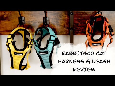 Rabbitgoo Cat Harness & Leash Review - BEST CAT HARNESS FOR 2022