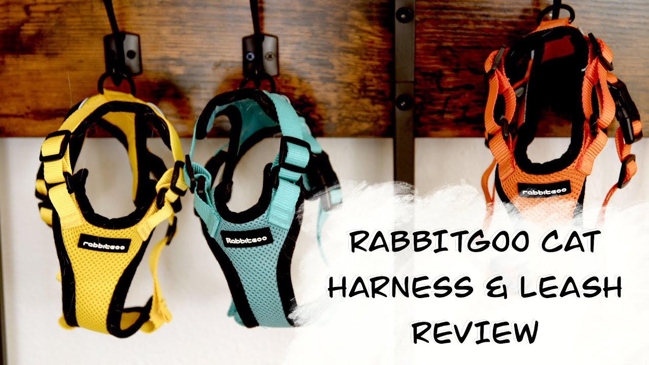 Watch video Rabbitgoo Cat Harness & Leash Review - BEST CAT HARNESS FOR 2022 Now Rabbitgoo Cat Harness & Leash Review - BEST CAT HARNESS FOR 2022