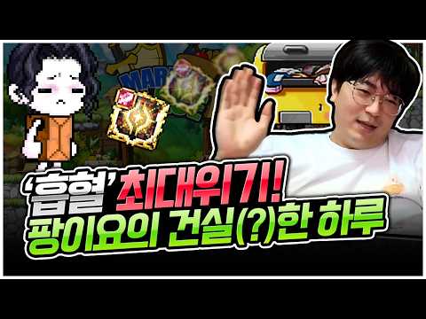 이 정도면 건실한 편 아닌가요? [팡이요,  메이플스토리]
