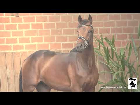 Hengst v. Dynamic Dream! *2022