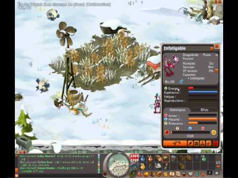 comment ne pas se faire hacker dofus