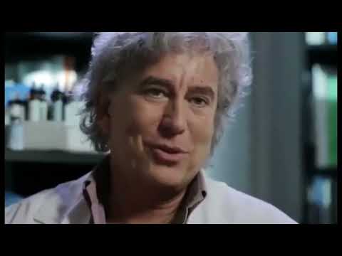 Cfare eshte realisht vdekja