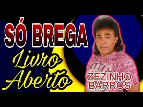 Zezinho barros e seus sucessos de brega | livro aberto só as melhores músicas de seresta antigas