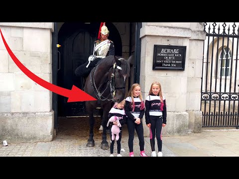 They're so ADORABLE ! The King's Horse LOVES Kids !