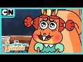 Compilatie van het beste van de Eekhoorns | Ivandoe | Cartoon Network