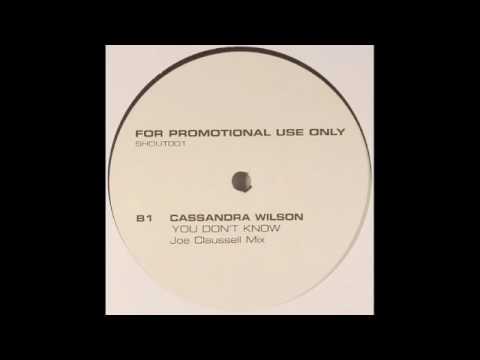 You Don't Know (Joe Claussell Remix) - Cassandra Wilson