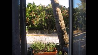 Black Uhuru - stalks of sensimilla