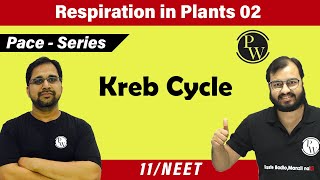 Respiration in plants 02 | Kreb Cycle | Class 11 | NEET | Pace Series