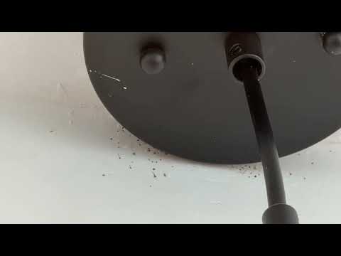 Cockroaches Turn Kitchen Into New Home in Roosevelt, NJ