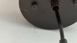 Watch video: Cockroaches Turn Kitchen Into New Home in...