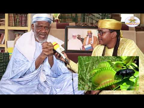 Les secrets du chiffre 666 recherches approfondies par Cheick Yacoub DOUCOURE. Vol 02