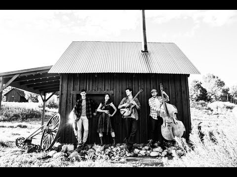 ACDC - You Shook Me All Night Long (Acoustic Cover by Andy Hackbarth)