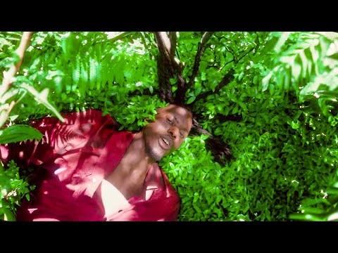 Phill-E - Show You  (Visualizer)