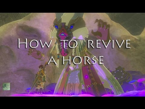 YouTube video about: How to revive your horse in breath of the wild?