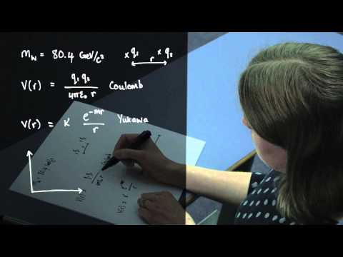 4.2. HIGGS - The Theory of Weak Interactions