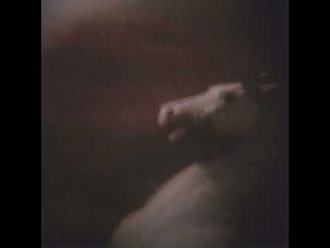 Tarentel - Looking for Things / Searching for Things [Full Album]