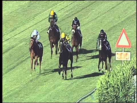 Galoppo 01/07/2015 - 1° corsa