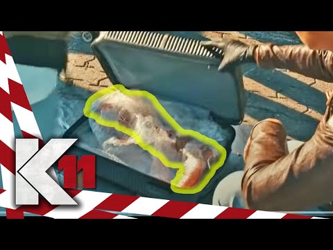 Sick body-shredder: Severed woman's leg in suitcase! | 1/2 | K11 - The New Cases | Sat.1