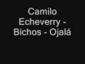 Camilo Echeverry - Ojalá 