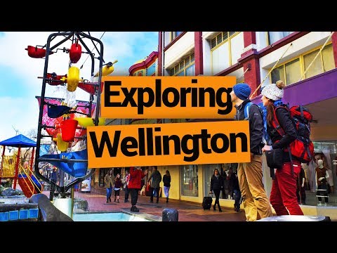 🗺️ Exploring Wellington City - New Zealand's Biggest Gap Year – Backpacker Guide New Zealand Video