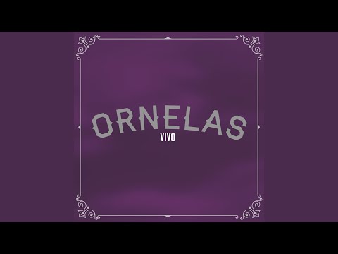 Me Quedé Con Tantas Cosas - Raul Ornelas