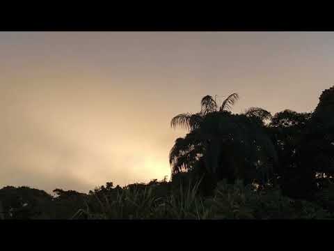 Joe Henderson, John Scofield, Dave Holland & Al Foster, Boston (1993 - Goodbye, 2025!)