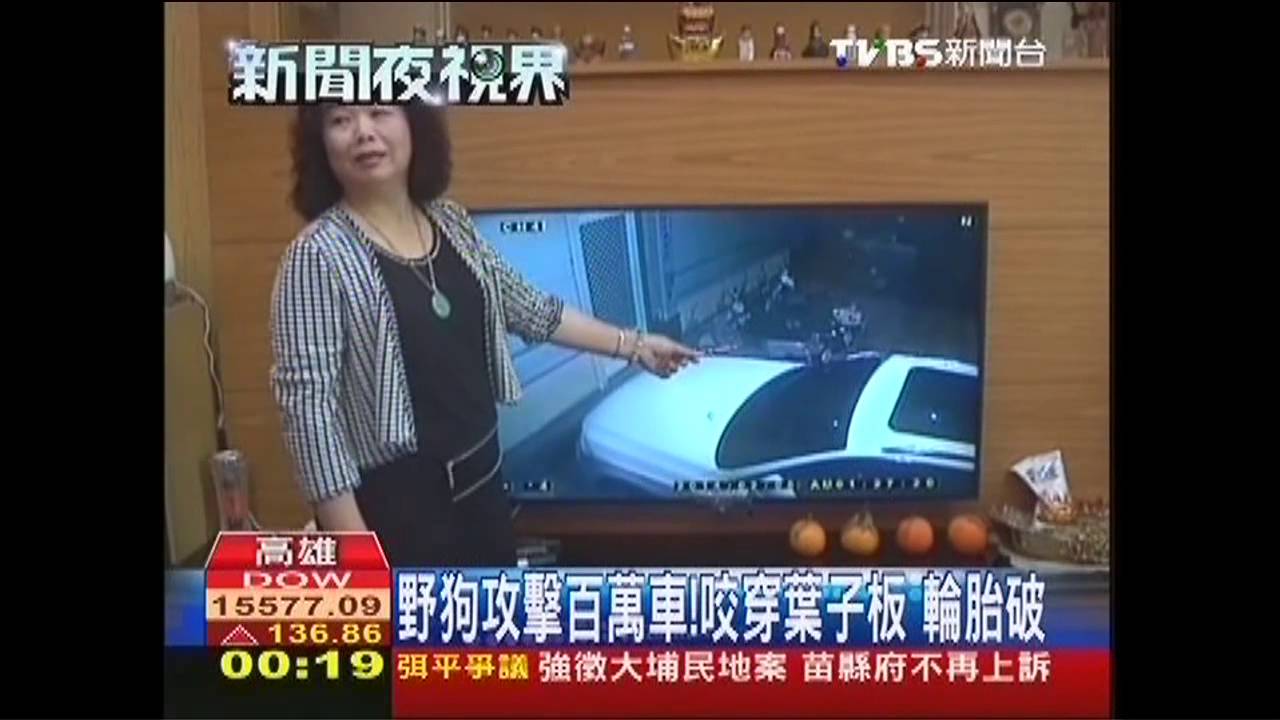 野狗攻擊百萬車!咬穿葉子板 輪胎破
