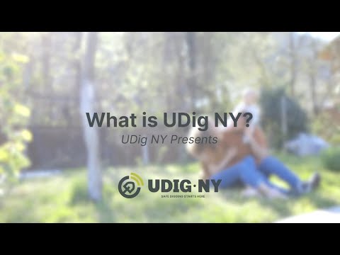 What is UDig NY?