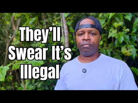 You’re About to Get So Rich They’ll Swear You Did Something Illegal