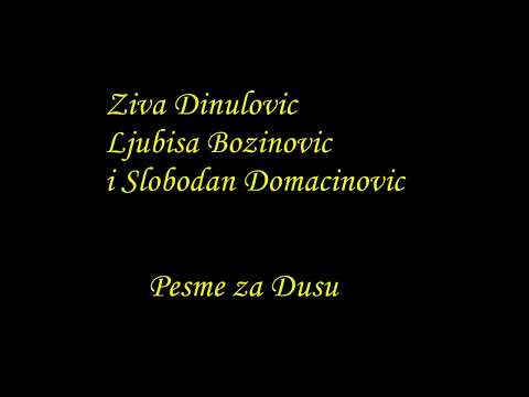 Ziva Dinulovic, Ljubisa Bozinovic i Slobodan Domacinovic