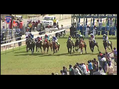 RM14 R1 | Fortissimo | J.Allyhosain