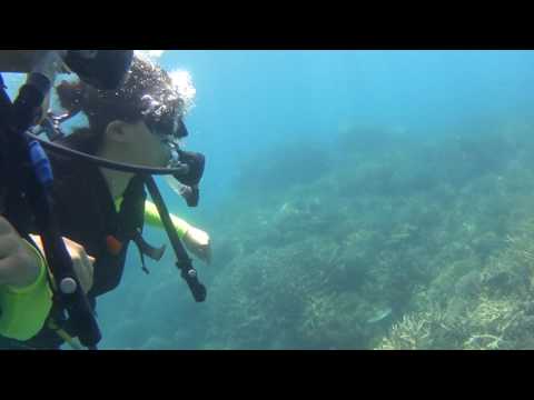2016.09.28 Great Barrier Reef Scuba-diving in Cairns, Australia.
