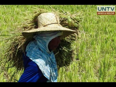 las piñas city case study 2018-8-15 greenbelt is a shopping mall a suspected robber was killed by two police escorts of a city mayor who chanced upon the heist while the other gunmen escaped. las piñas city case study 2018-8-15 greenbelt is a shopping mall a suspected robber was killed by two police escorts of a city mayor who chanced upon the heist while the other gunmen escaped.
