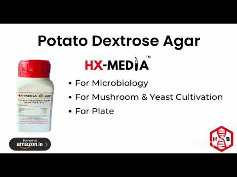 Potato Dextrose Agar (Mushroom Cultivation)